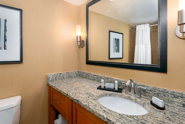 Embassy Suites by Hilton Kansas City International Airport photo 10
