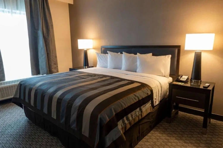 1 Bedroom Double Suite