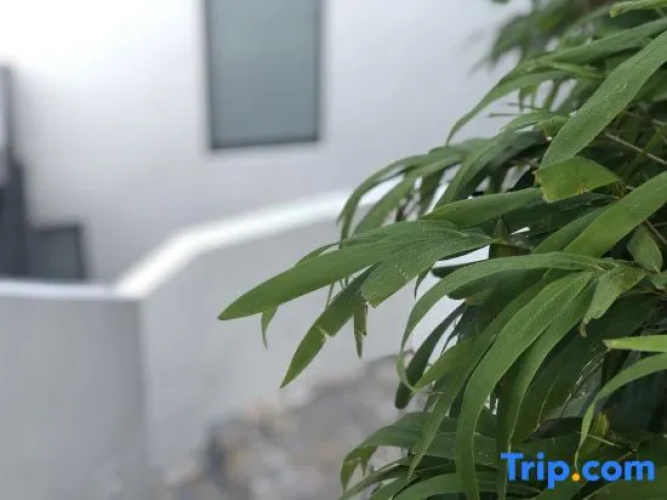 Ruoshanbei Homestay