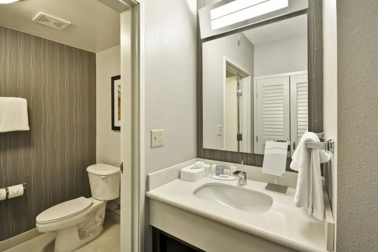 1 Bedroom Suite