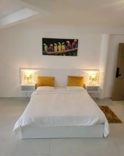 Hello Guyane (4), Suite Junior Luxury, 5 étoiles
