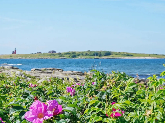 Holiday Home in Halmstad