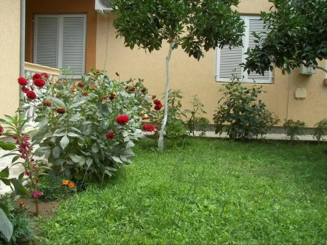2 Bedrooms Apartment with balcony and with view