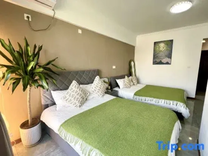 Standard Twin room with river view