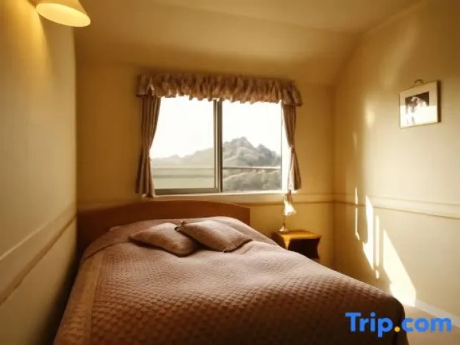 Standard Double room with view
