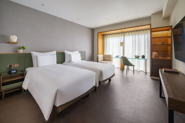 Deluxe Twin room