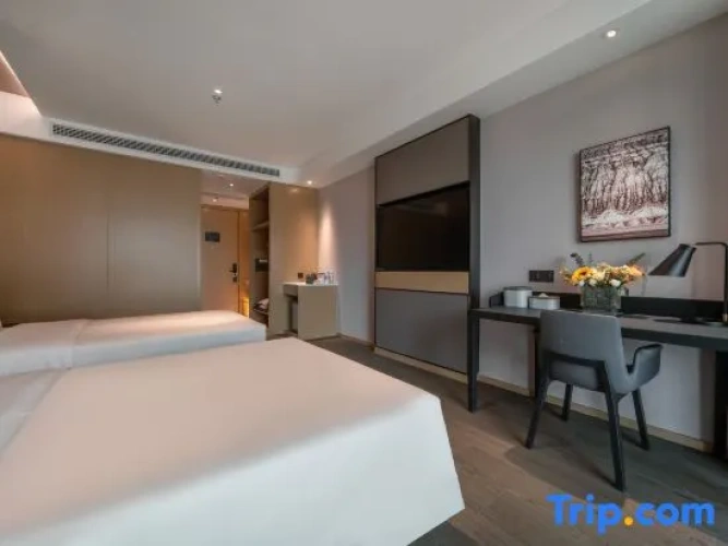 Executive Twin room with city view