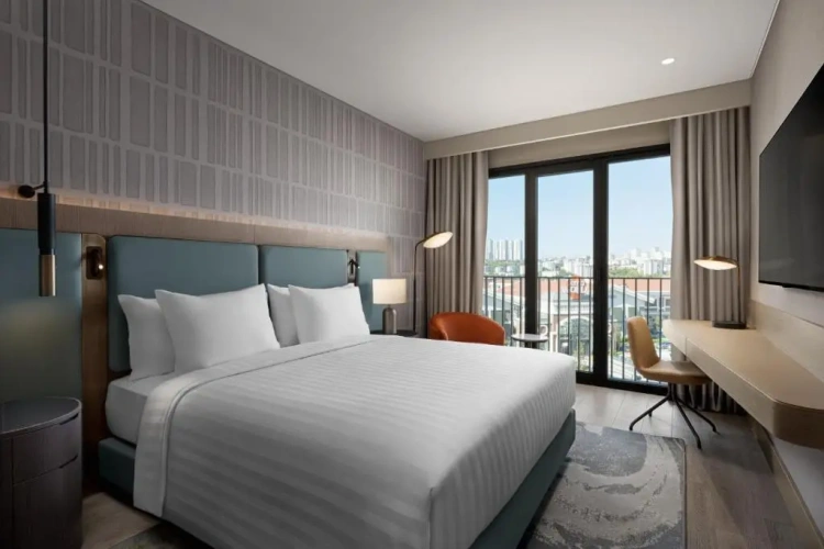 1 Bedroom Apartment