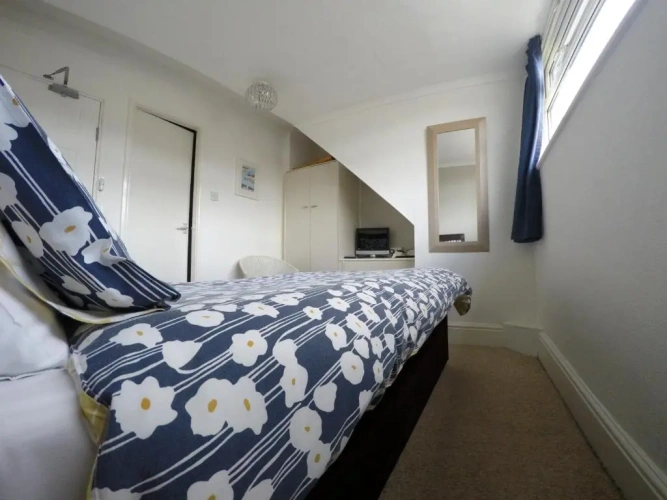 Standard Twin room with view