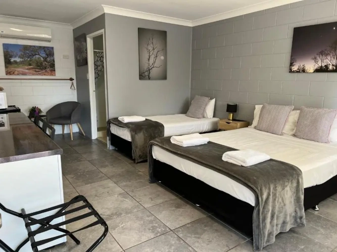 Deluxe Twin room