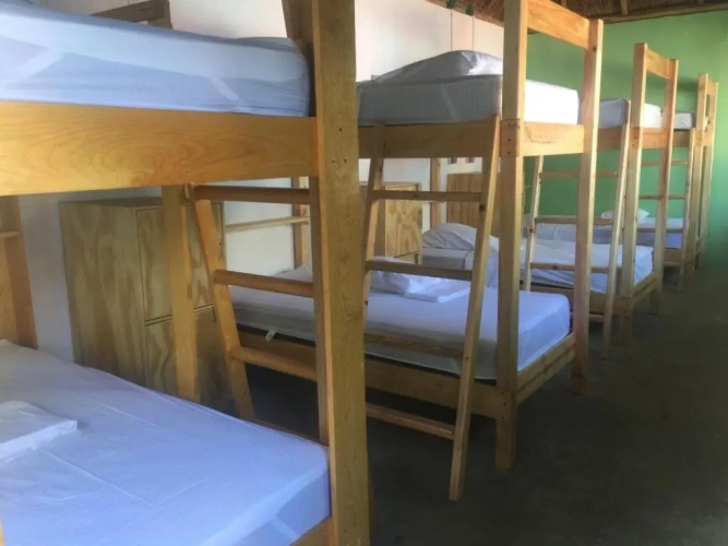 Bed in Dorm