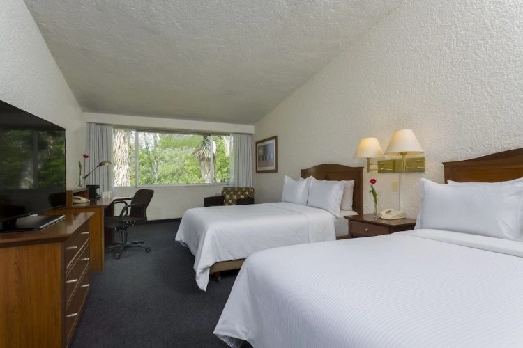 Superior Quadruple room