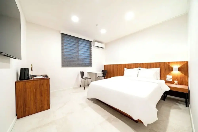 Standard Single room with park view
