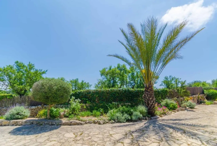 4 Bedrooms Single Villa