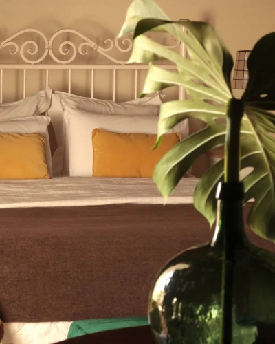 Superior Double room with mountain view