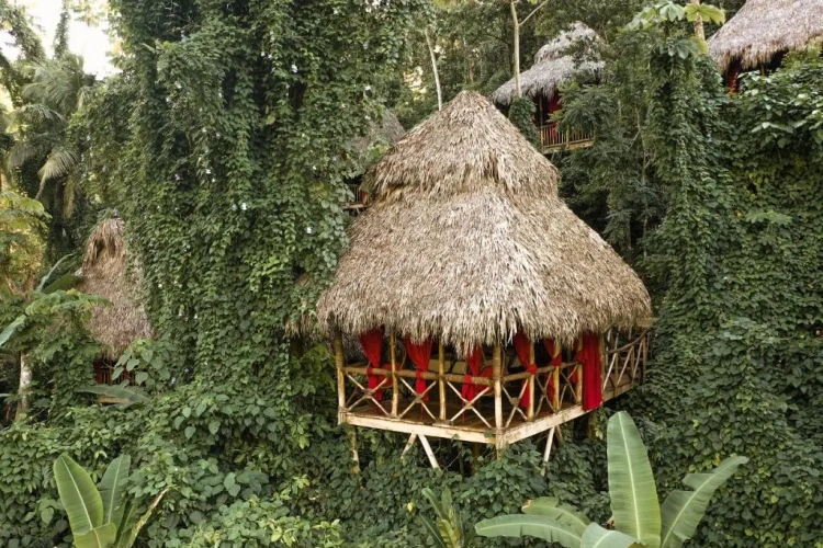 Standard Double room with garden view