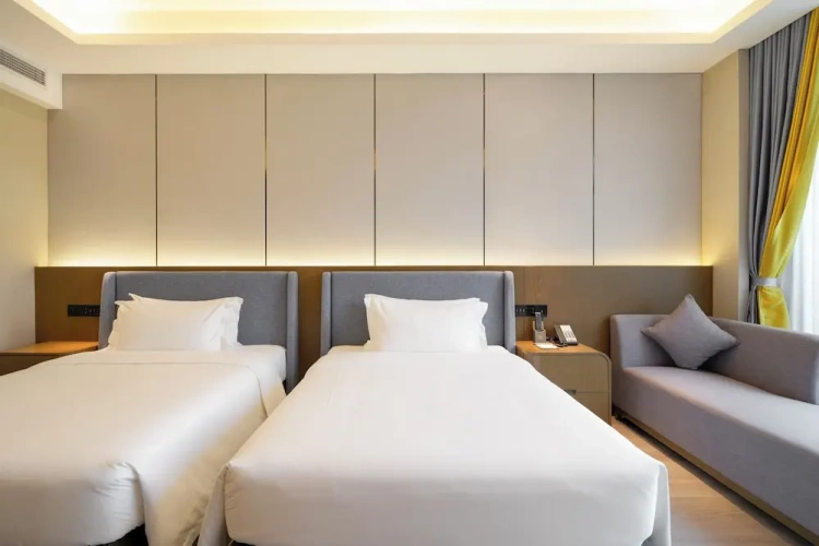Standard Twin room with balcony and with pool view