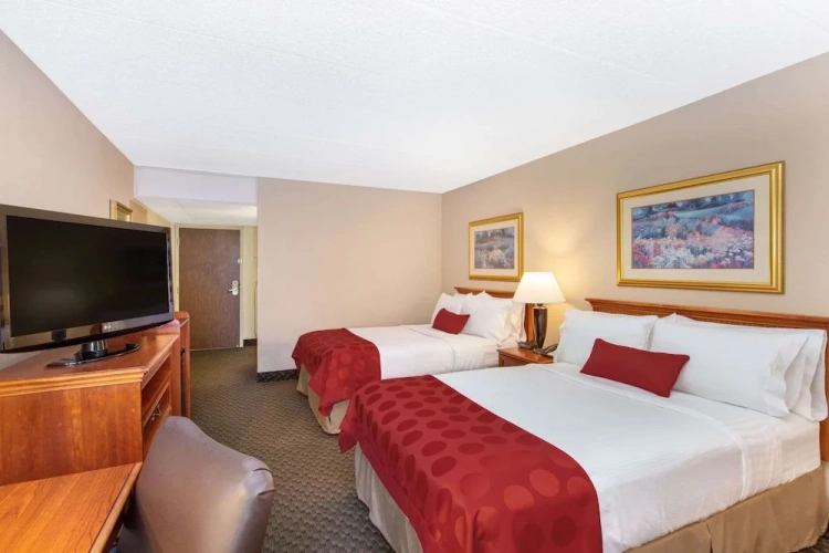 Standard Quadruple room with view