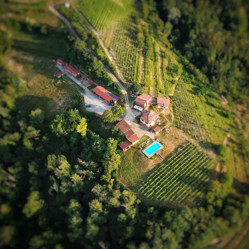 Tenuta MonteOliveto
