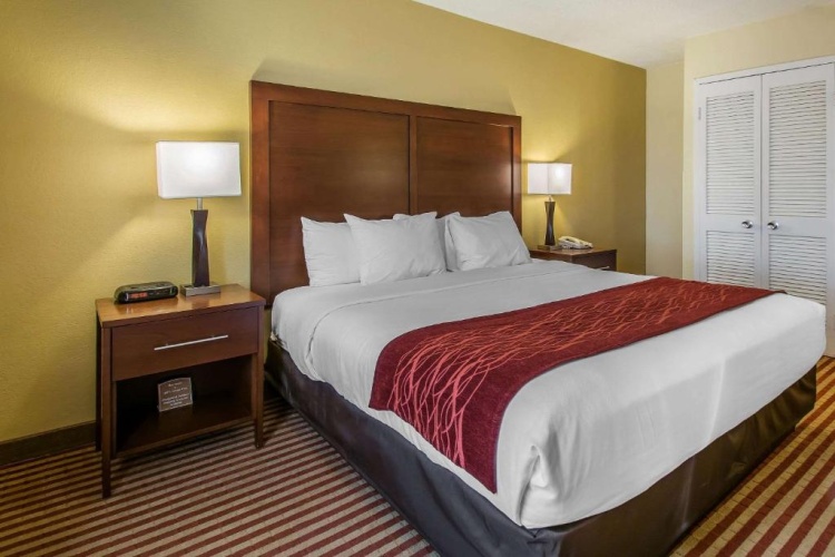 Superior Double Suite