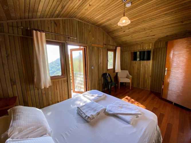 Tree Houses