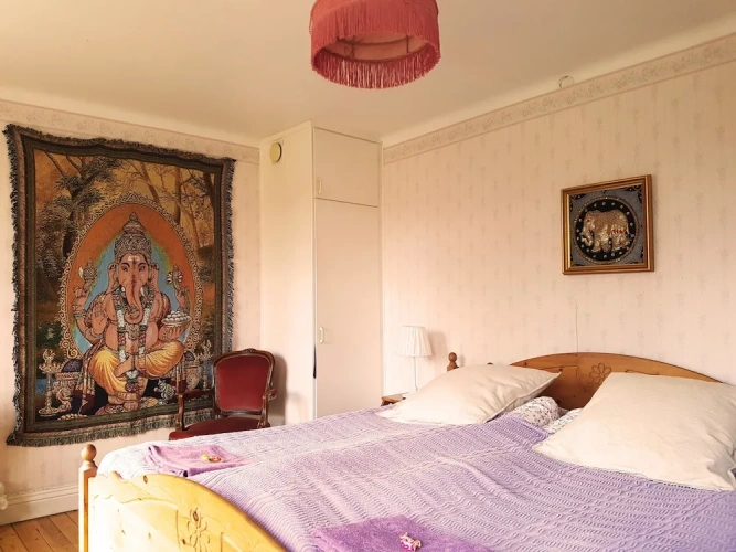 Deluxe Double room with garden view