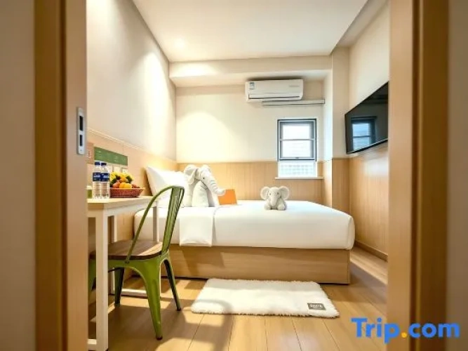 Luxury Single room