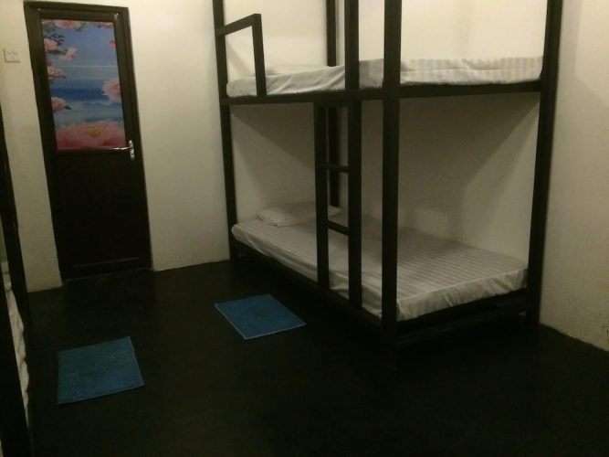 Nature Rex - Hostel