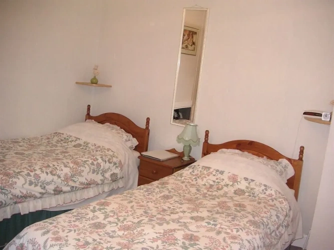 Standard Twin room with garden view