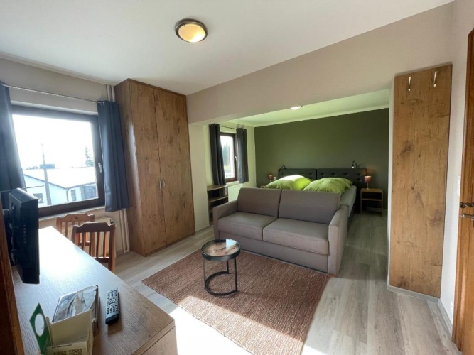 Standard Twin room with view