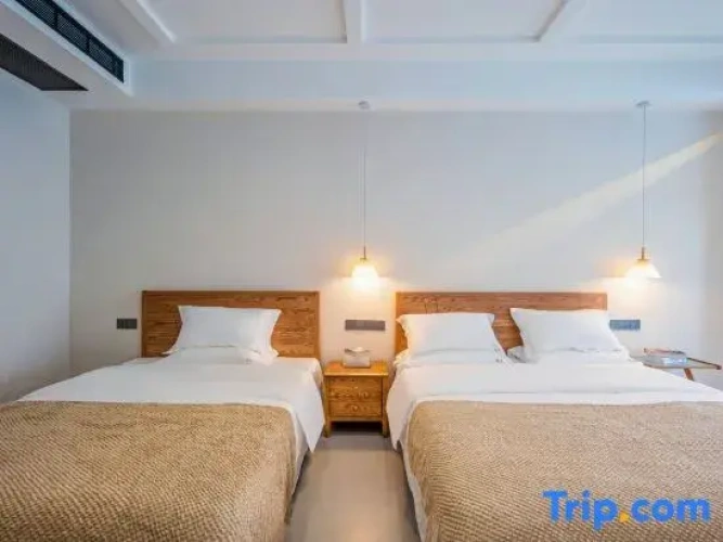 Standard Twin room with view