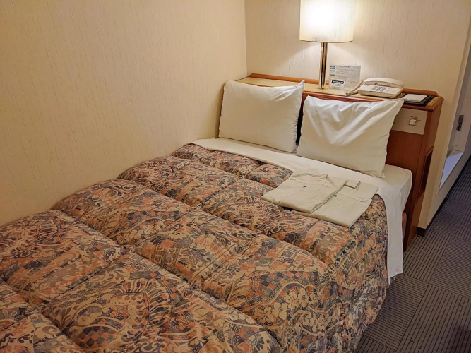 Ace Inn Kariya