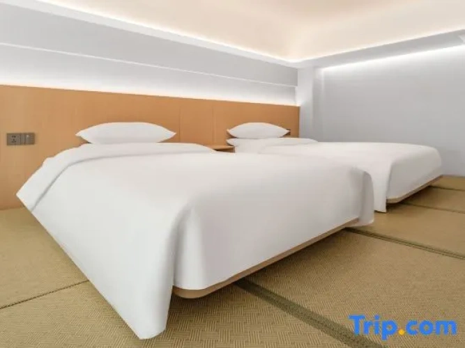 Standard Double Duplex room