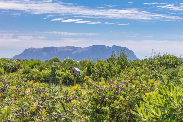 Hotel Stefania Boutique Hotel by the BeachOver view