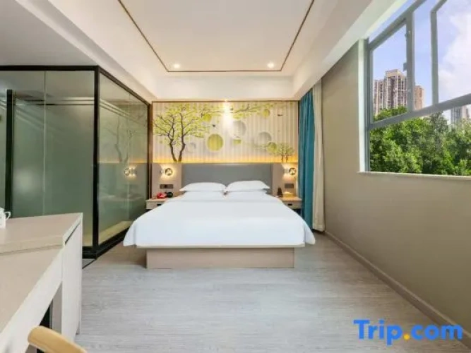 Standard Double room with city view