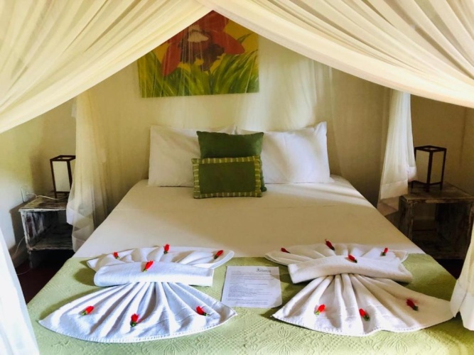Comfort Suite