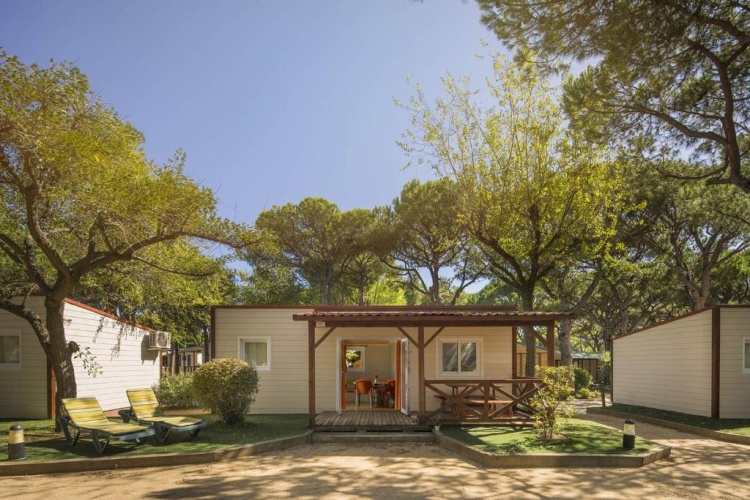 Deluxe Bungalow