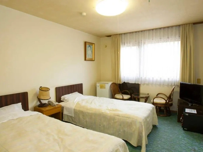 Standard Twin room with mountain view