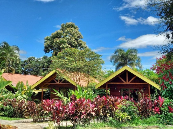 Bungalow with garden view