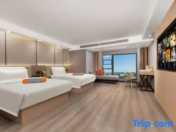 Standard Twin room with city view