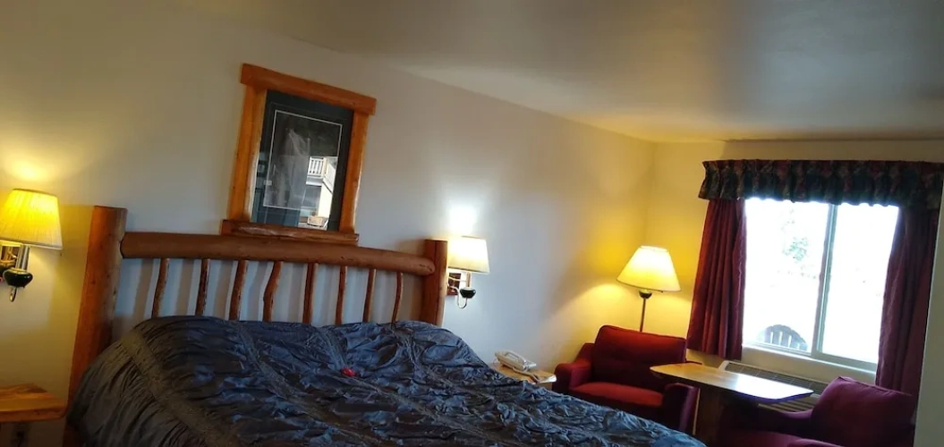 1 Bedroom Standard Basement Suite