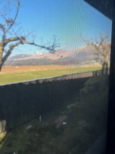 Standard Quadruple room with mountain view