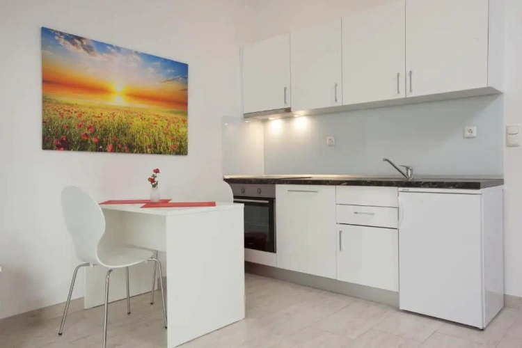 Basement Apartment