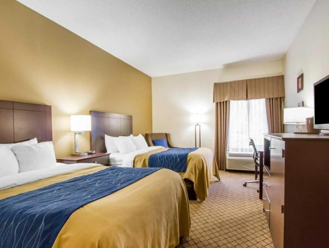 Standard Quadruple room