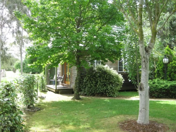 1 Bedroom Chalet