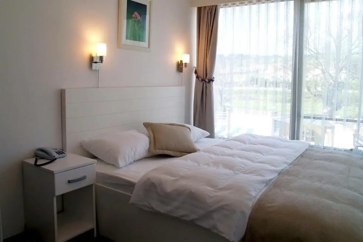 Standard Double room with pool view