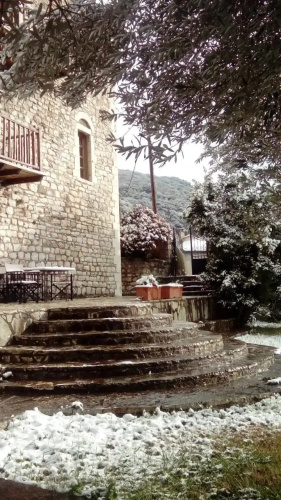 Theoni's House