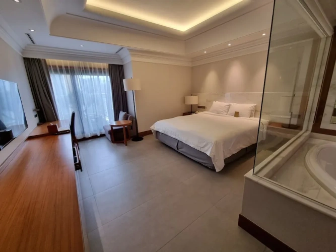 Premier Double room with park view