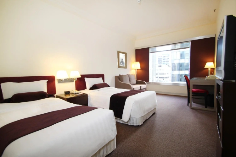 Deluxe Twin room with city view
