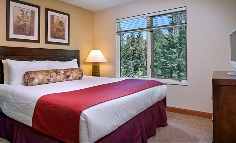 1 Bedroom Suite